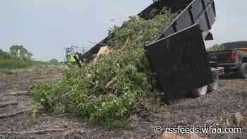 North Texas landfills seeing high volumes of storm debris