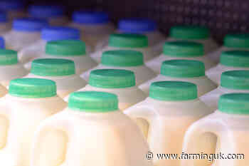 First Milk increases July milk price by 0.8ppl
