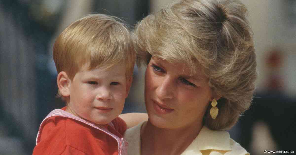 Princess Lilibet's uncanny similarity to Prince Harry as fans say she's dad's 'clone'