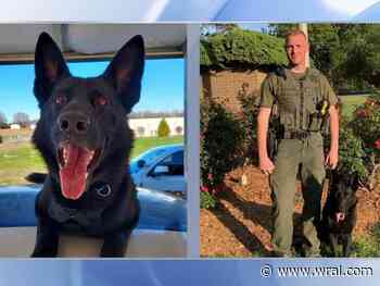 K-9 'Pike' saves man's life by recovering stolen cellphone