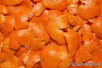 New Research Reveals That Adding Orange Peels to Your Diet Could Improve Heart Health