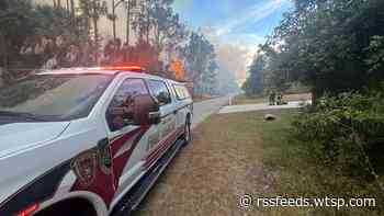Large brush fire in North Port that briefly prompted evacuations contained, officials say