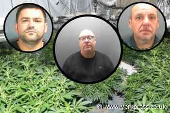 The 13 members of Alan Barker's cannabis gang based in Selby