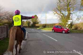 Little-known Highway Code rule could see drivers fined for driving near horses, expert warns