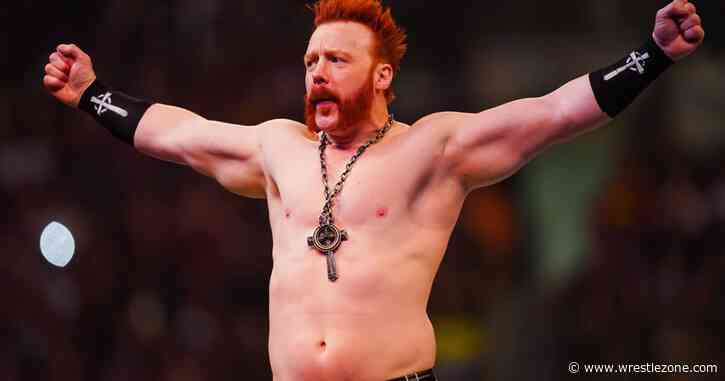 Sheamus Is Already Looking For A Rematch Against Ludwig Kaiser