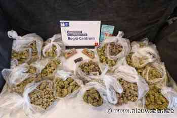 Politie vindt meer dan 2,5 kilo cannabis in huurwagen in Borgerhout