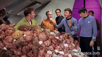 'Star Trek: The Illustrated Oral History: The Original Cast' reveals how William Shatner felt about tribbles (exclusive)