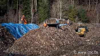 Company misses deadline to remove illegally dumped waste near Cultus Lake