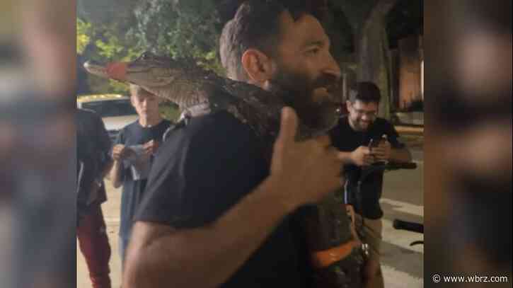 Officers searching for men touting gator around French Quarter