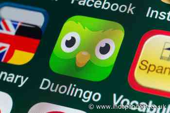 Language learning app Duolingo deletes LGBT+ references in Russia