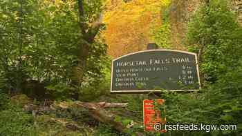 Hiker safe after straying from group near Oneonta Trail area in the Columbia River Gorge