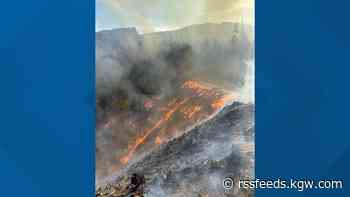 Wildfire burning at Letsom Mountain southwest of Eugene