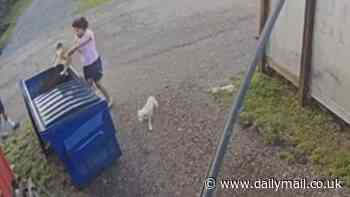 Shocking moment woman brutally hurls two adorable puppies into dumpster before strutting away from scene