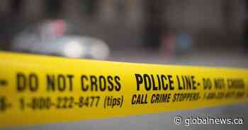 Police investigate after synagogue in Kitchener vandalized