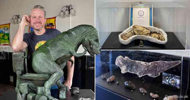 World’s most prolific fossilised poo collector is now showing it off in a museum