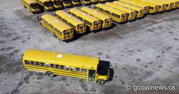New Brunswick school bus drivers fail to meet licensing, training requirements: audit