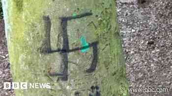 Swastikas painted on trees in Paignton vandalism