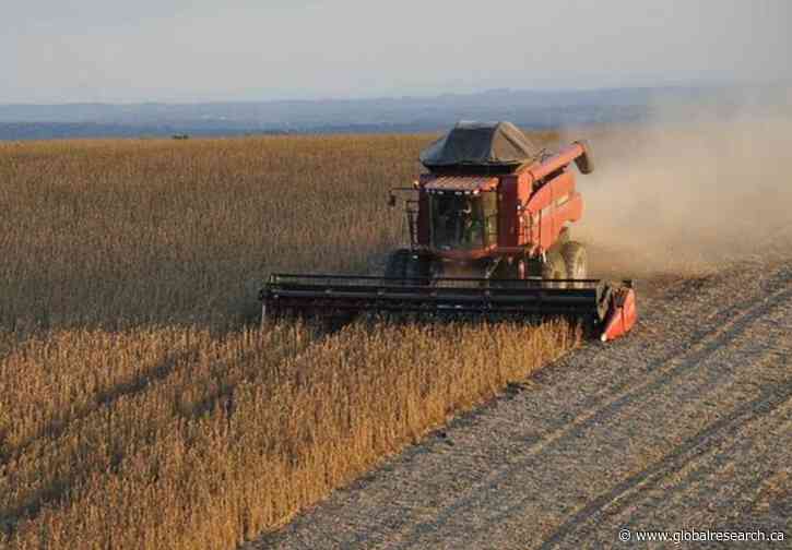 Em São Petersburgo, Brasil e Rússia podem avançar cooperação em fertilizantes