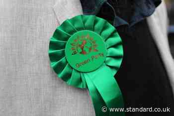 Green Party to review health policy after pledging to reduce caesarean sections