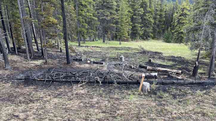 Wildfire officials concerned over 'very little precipitation' in Calgary Forest Area