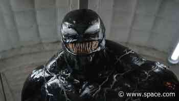 'Venom: The Last Dance' gets 1st trailer full of alien symbiote mischief and mayhem (video)