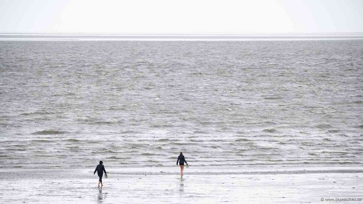 Klimawandel: Wasser der Nordsee so warm wie nie
