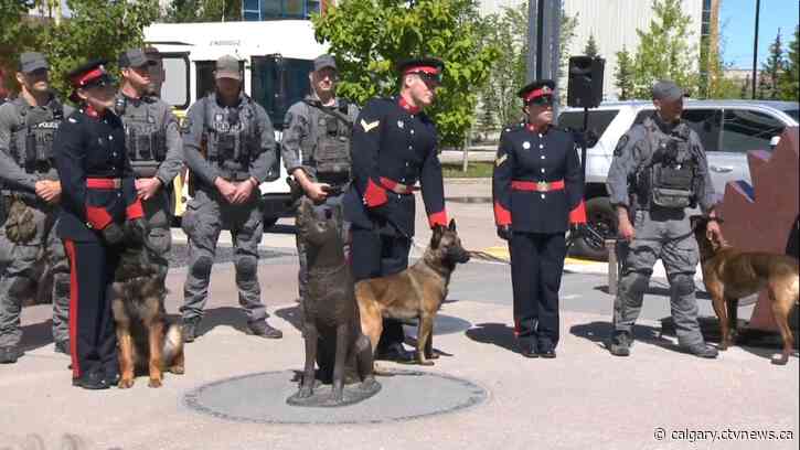 Bronco, Checco, Gaiter and Rick: 4 dogs join Calgary Police Service