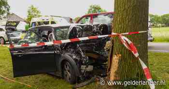 Nijmeegse automobilist (39) overleden bij botsing tegen boom