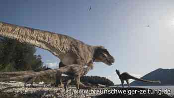 Seltenes Fossil: Kinder finden beim Wandern einen T-Rex