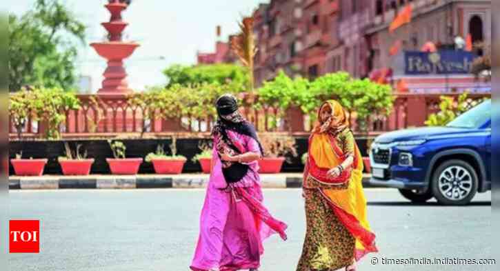 Heatwave scorches Rajasthan tourism, smaller hotels are worst-hit