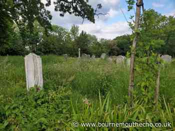 Grass left to grow wild at Poole and Bournemouth cemeteries