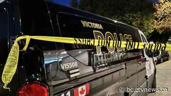 Machete-wielding woman charged after allegedly taking taxi on multi-city ride in B.C.