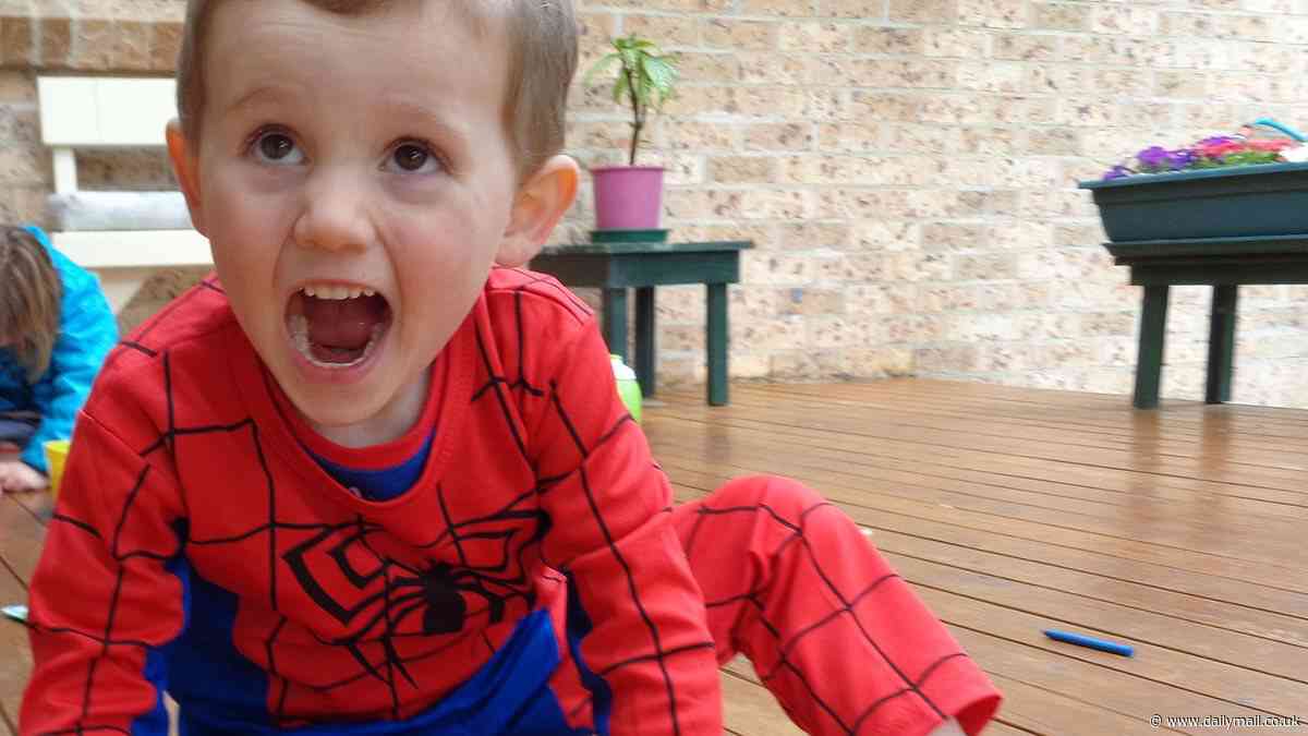 William Tyrrell's foster parents appeal convictions handed down for the assault and intimidation of another child in their care