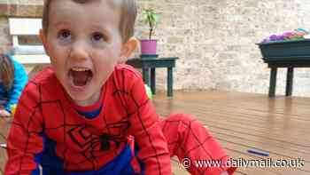 William Tyrrell's foster parents appeal convictions handed down for the assault and intimidation of another child in their care
