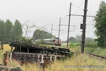 Treinverkeer tussen Landen Sint-Truiden onderbroken: “Dier aangereden op spoor”