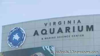 "You’ve got to be a miracle worker:” Future of Virginia Aquarium undecided as City Council hears from consultant