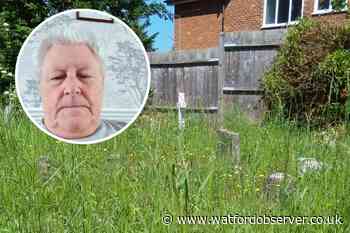 Dad slams 'hazard' overgrown Chorleywood Road Cemetery grass
