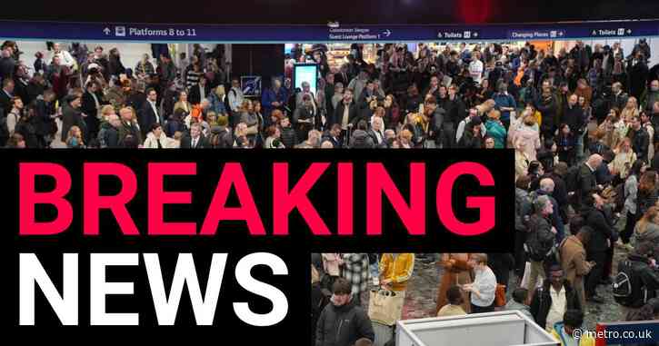 Trains in and out of major London train station cancelled following ‘incident’