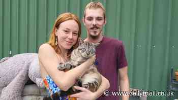 Couple who lost their beloved cat make a shock discovery when he returned home