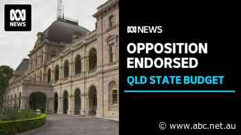 Qld opposition leader endorses state budget before it's been finalised