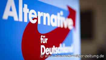 Erschreckendes Ergebnis – AfD bei U16-Wahl in Brandenburg vorn