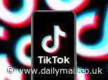TikTok confirms a cyber attack that's targeting high profile users including Paris Hilton and CNN