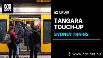 Sydney's iconic Tangara trains to receive $450m facelift