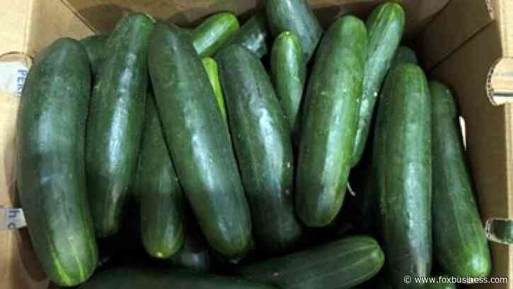 Cucumbers recalled in 14 states over potential salmonella contamination
