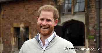 Prince Harry fans say unearthed clip of grinning royal is 'favourite moment'