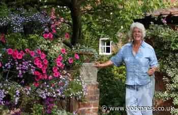 Stillingfleet Lodge Gardens and plant nursery, York turns 40
