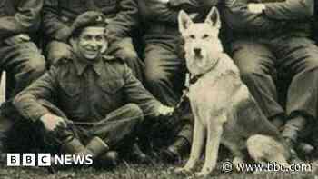The soldier and para-dog buried together after D-Day