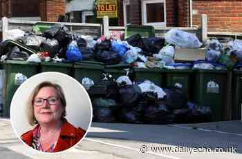 Southampton City Council leader says bin delay has improved