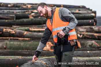 Welche Auswirkungen hätte ein Nationalpark auf die Holzwirtschaft?