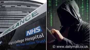 What is a cyber attack? As NHS declares 'critical incident' and cancels operations, how hackers exploit 'flaws' in systems to seize control